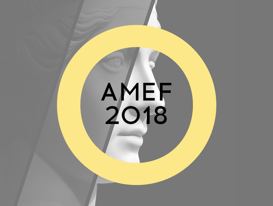 Осенняя сессия AMEF-2018 «Контурная пластика: анатомия основных этнических  морфотипов»