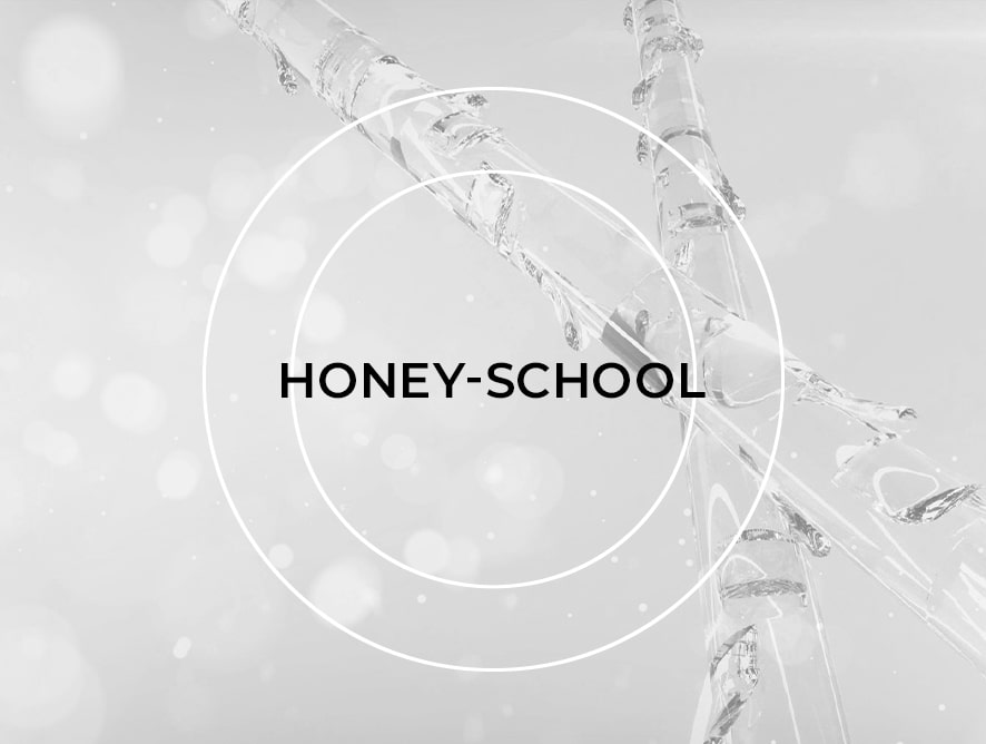 Honey-School