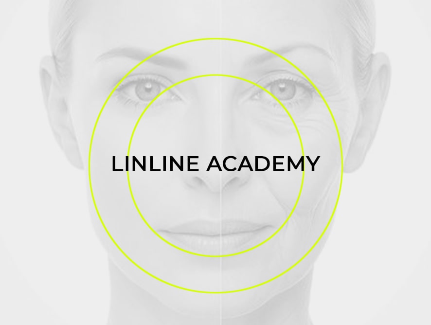Онлайн-конференция Linline Academy