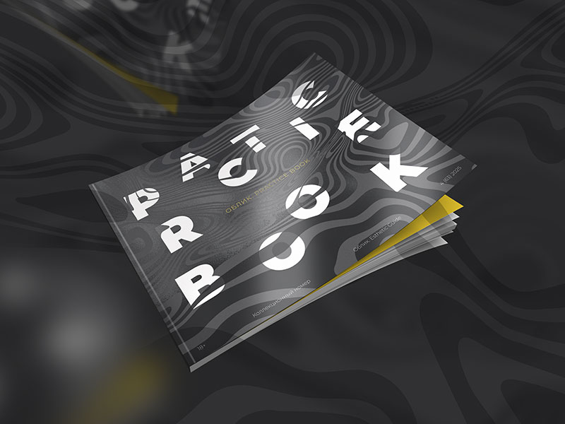 ПРЕДЗАКАЗ НА PRACTICE BOOK-2025