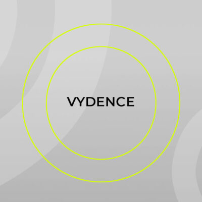 Международный саммит Vydence